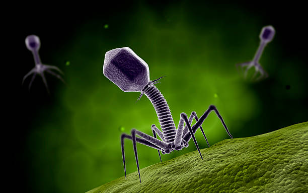 Advanced Research Laboratory